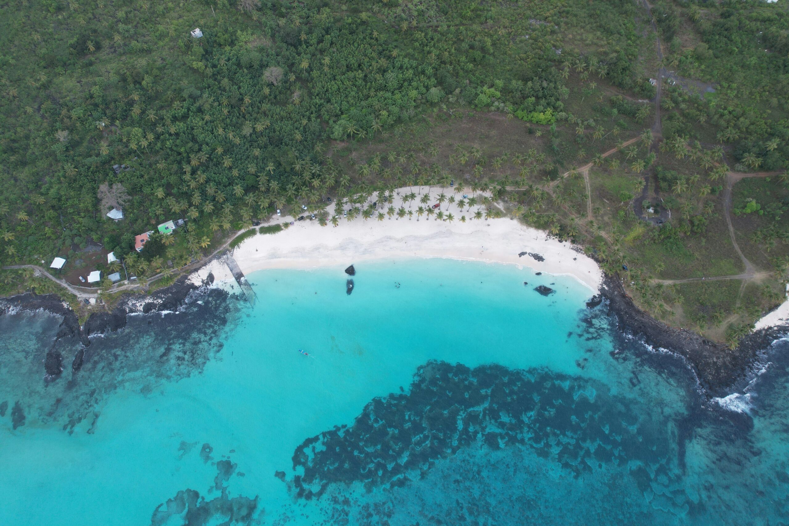 an aerial view of a beach and ocean